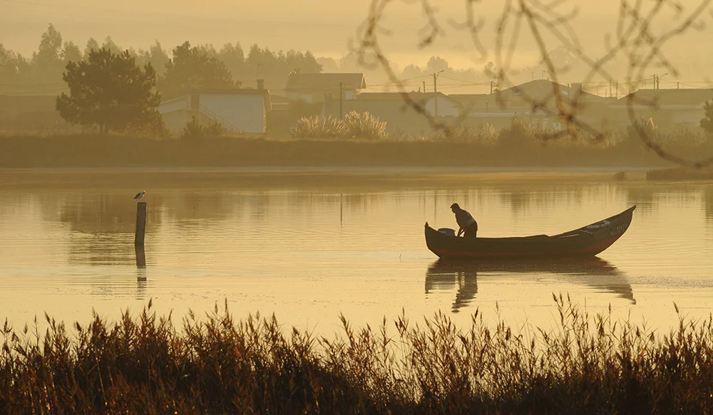Roteiro de Birdwatching
